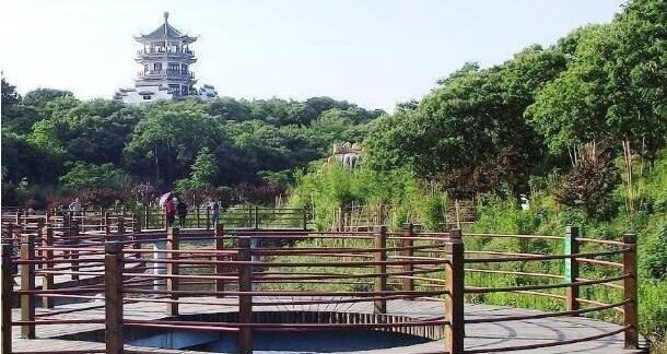 [旅游资讯]京都必逛高木批发超市攻略——带你走入零食达人的天堂  