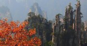 [旅游攻略]中国登山协会发布“十一”期间登山户外运动安全提示和通知