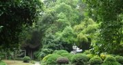 [旅游资讯]普吉业者：翻船事故后中国游客数量下降