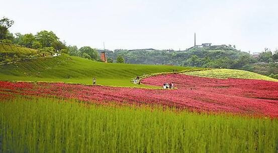 [游讯]七藏沟风景区在哪里？七藏沟徒步行程攻略