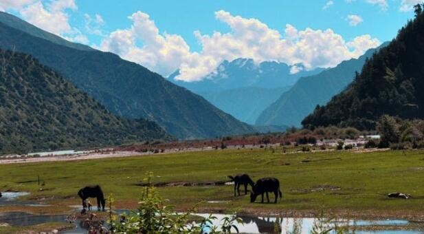 【游讯】中国河北4A级景区白石山风景名胜区