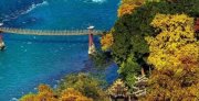[旅游资讯]出国上网到底用国际漫游、出境手机卡还是出境随身WiFi？比拼见分晓